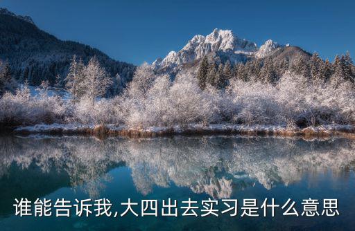 大四實習報告,大學實習報告及實習日記學生可自行找企業實習