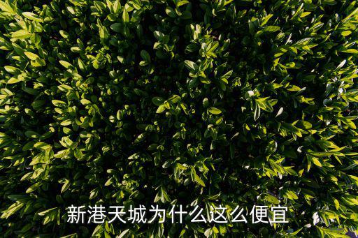 新港哪個小區房價最低，新區新港名墅為什么那么便宜