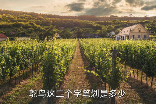 鴕鳥這二個字筆劃是多少