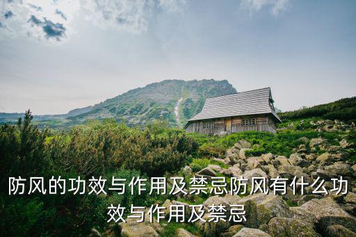 防風功效,關于防風的功效與作用及禁忌