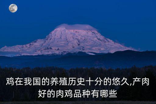 白羽肉雞,我國養殖歷史悠久產肉好的肉雞品種有哪些?