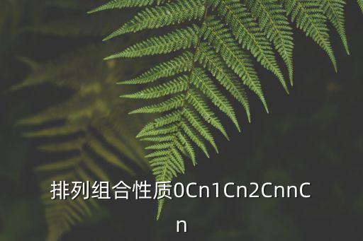 cn1排列組合，排列組合性質0Cn1Cn2CnnCn