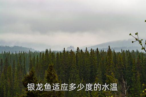 銀龍魚適應多少度的水溫