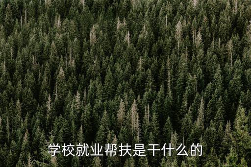 就業幫扶,就業幫扶是什么?