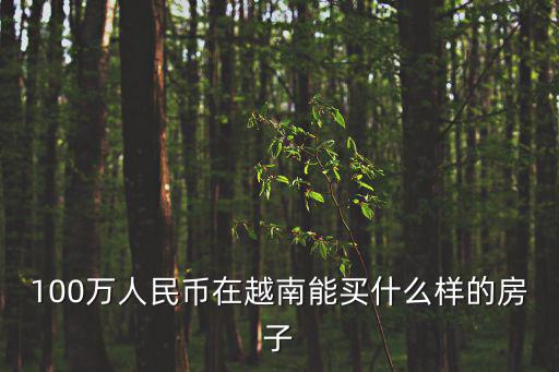 100萬人民幣在越南能買什么樣的房子