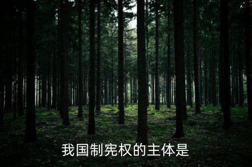 制憲權(quán),憲法:制憲主體不同于制憲機(jī)關(guān)