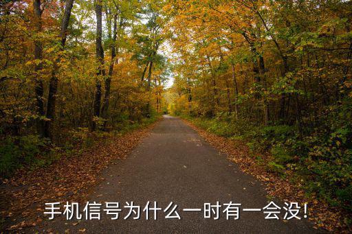 手機信號為什么一時有一會沒!
