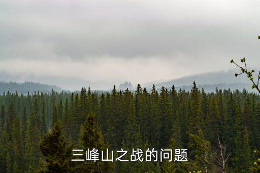 三峰山之戰(zhàn),三峰山之戰(zhàn)四原因:統(tǒng)帥不明確導致戰(zhàn)斗力打折扣