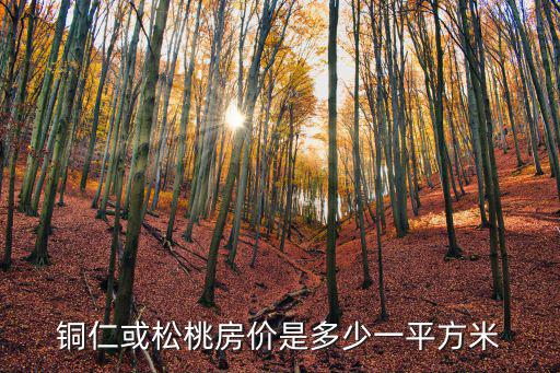 銅仁或松桃房價是多少一平方米