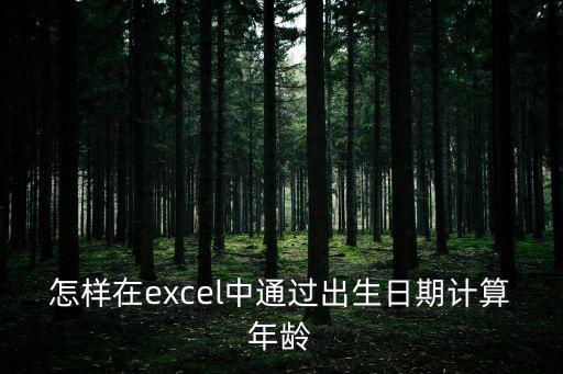 出生日期提取年齡,怎么在wps中顯示出生日期計算年齡?
