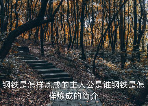 鋼鐵是怎樣煉成的主人公,【鋼鐵是怎樣煉成的》第一集
