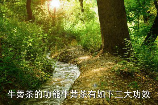 牛蒡茶的功能牛蒡茶有如下三大功效