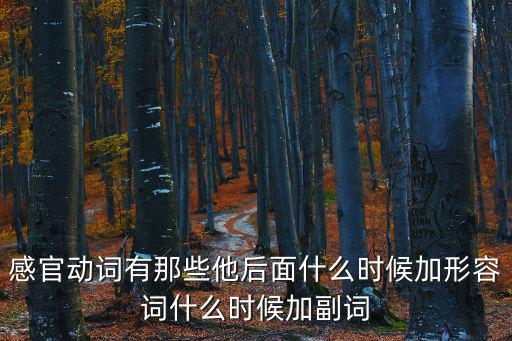 感官動詞有那些他后面什么時候加形容詞什么時候加副詞