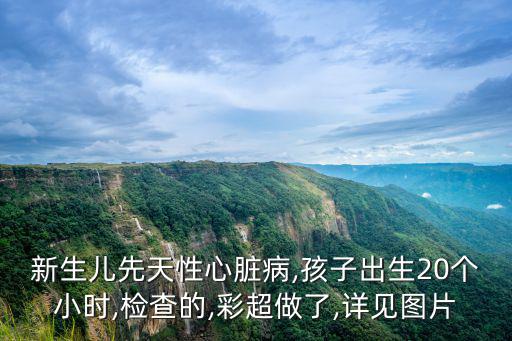 新生兒先天性心臟病,孩子出生20個小時,檢查的,彩超做了,詳見圖片