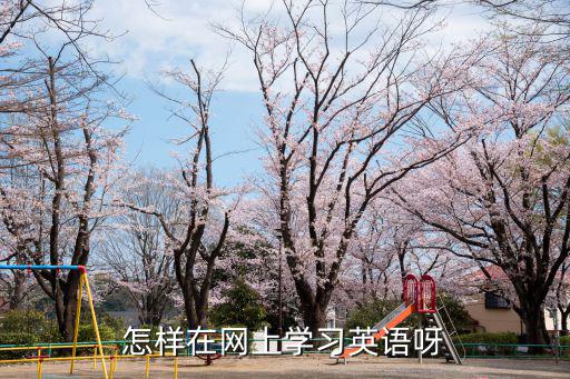 怎樣在網上學習英語呀