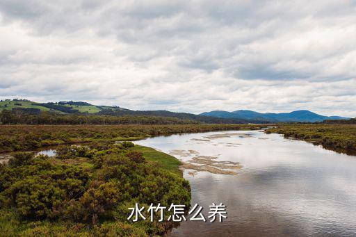 水竹怎么養(yǎng)