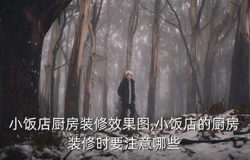 小飯店廚房裝修效果圖,小飯店的廚房裝修時(shí)要注意哪些