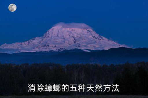消除蟑螂的五種天然方法