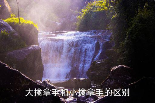 大擒拿手和小擒拿手的區別
