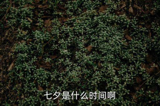 七夕是什么時間啊