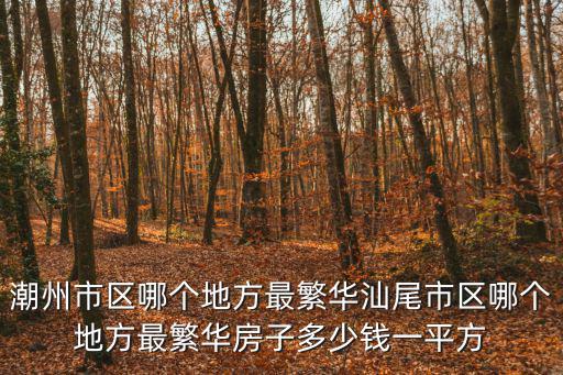 潮州市區哪個地方最繁華汕尾市區哪個地方最繁華房子多少錢一平方