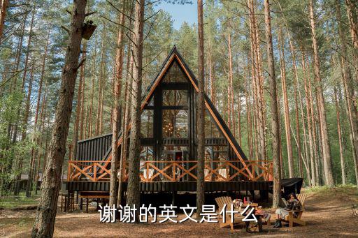 謝謝的英文是什么