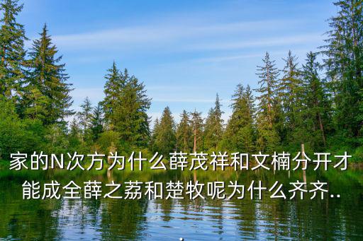 薛之荔,薛之荔和薛之浩的n次方