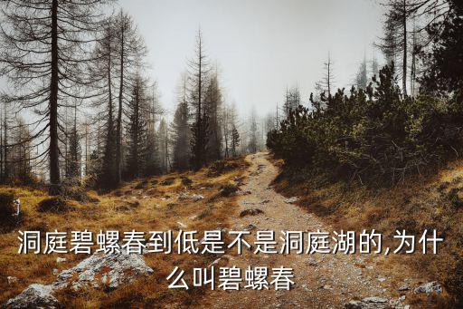 洞庭碧螺春到低是不是洞庭湖的,為什么叫碧螺春