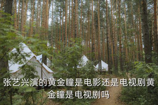 張藝興電影,《建軍大業》上映黃金瞳是電視劇嗎?