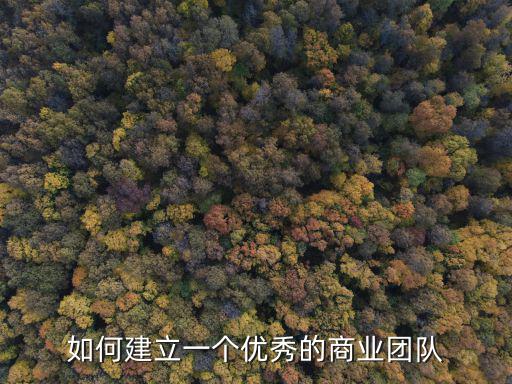 招商總監,超市招商方案1:要求招商必然要高大上的