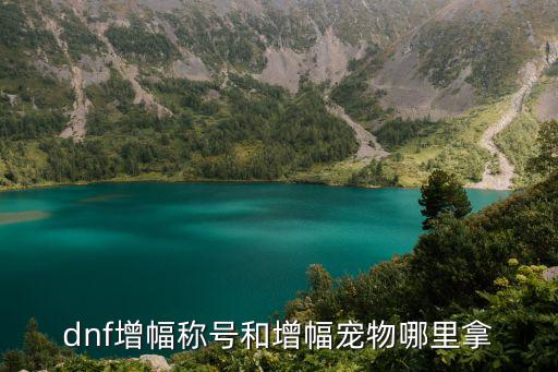 dnf增幅稱號和增幅寵物哪里拿