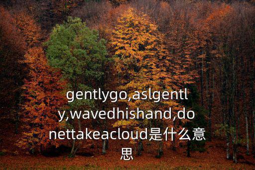 gentlygo,aslgently,wavedhishand,donettakeacloud是什么意思