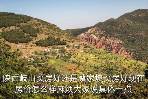 陜西岐山買房好還是蔡家坡買房好現在房價怎么樣麻煩大家說具體一點