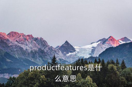 features,workfeatures是什么意思?