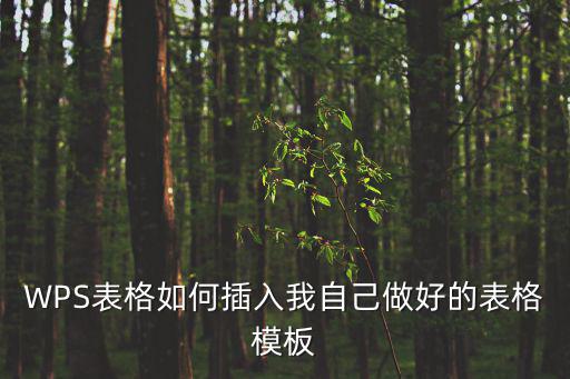 表格設(shè)計(jì)模板,建模板文件三步驟!!