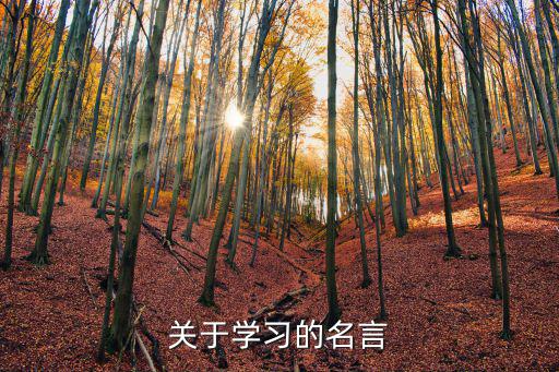 學習警句，關于學習的名言