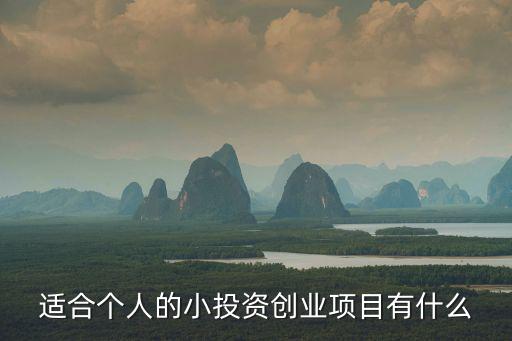 適合個人的小投資創業項目有什么