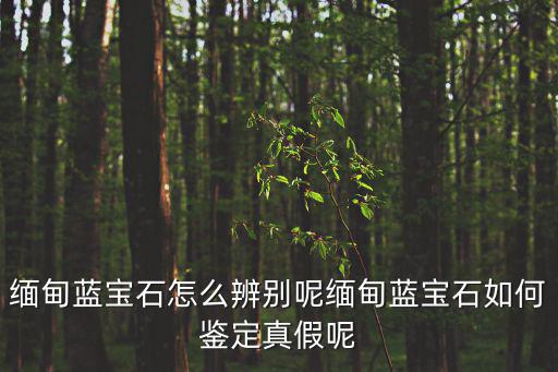 緬甸藍寶石怎么辨別呢緬甸藍寶石如何鑒定真假呢