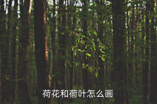荷花和荷葉怎么畫(huà)