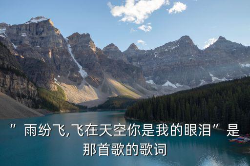 紛飛歌詞,雨紛飛,飛在天空你是我眼淚
