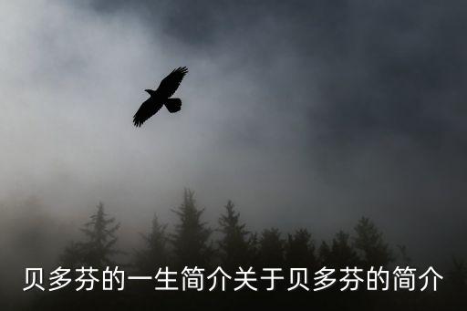 貝多芬的一生簡介關于貝多芬的簡介