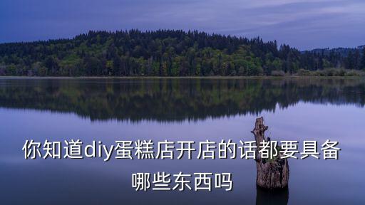 diy蛋糕店,開蛋糕店需要做什么?