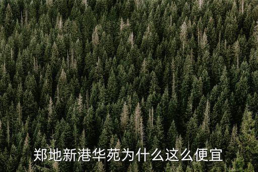 鄭地新港華苑為什么這么便宜