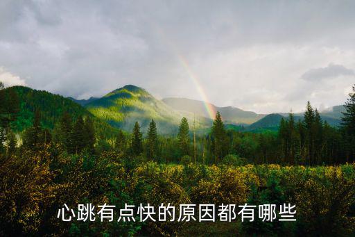 心跳有點快的原因都有哪些