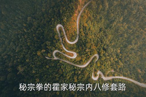 秘宗拳的霍家秘宗內八修套路