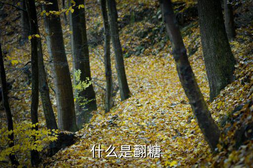 什么是翻糖蛋糕,最流行最熱門的裝飾蛋糕和禮典甜點(diǎn)!