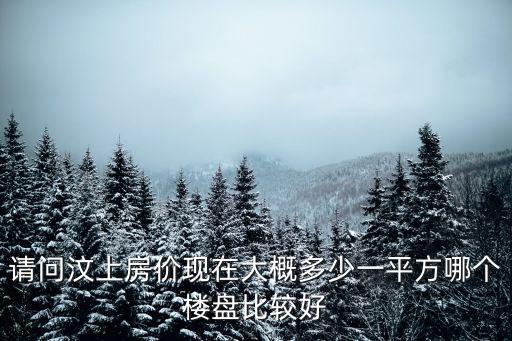請問汶上房價現在大概多少一平方哪個樓盤比較好