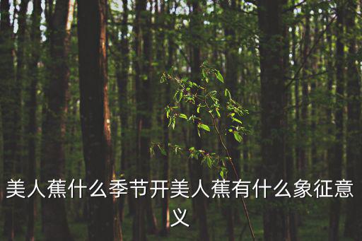 美人蕉花語,美人蕉花語:微笑面對未來連招貴子