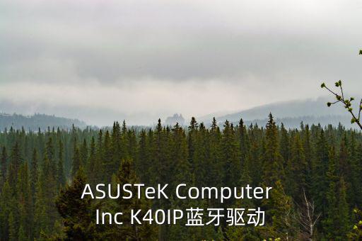 華碩藍牙驅動，ASUSTeK Computer Inc K40IP藍牙驅動