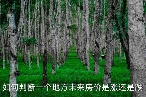 如何判斷一個地方未來房價是漲還是跌